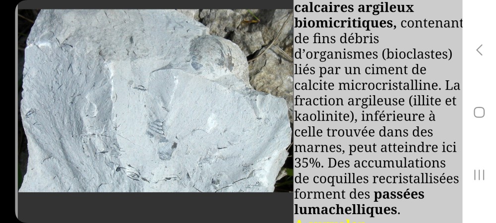 Screenshot_20240613_120959_Samsung Internet.jpg