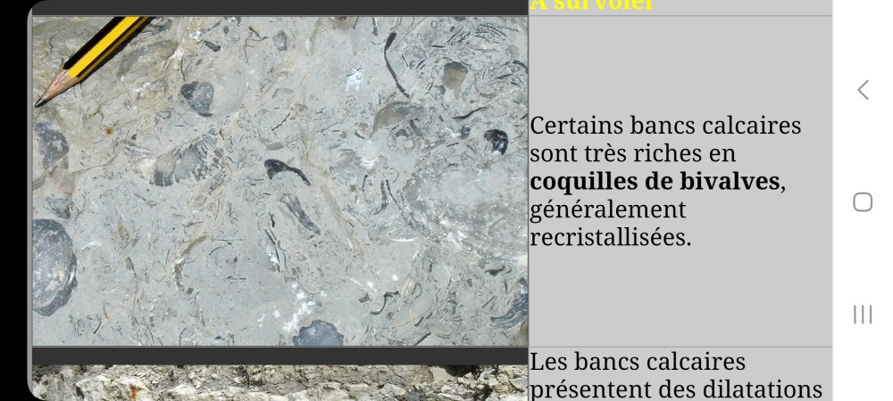 Screenshot_20240613_121031_Samsung Internet.jpg