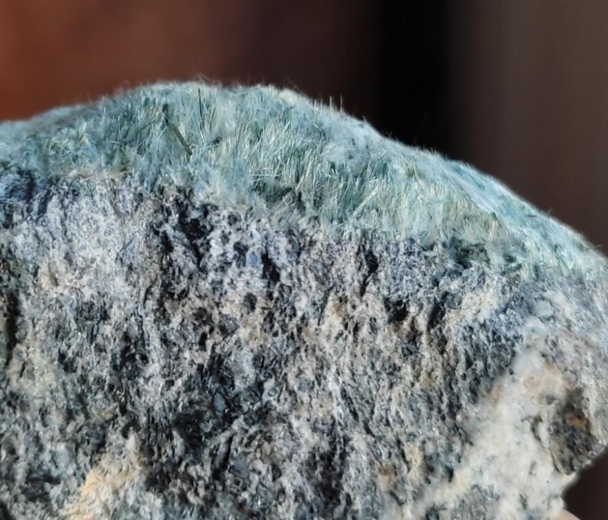 image000000 3 copie.jpg