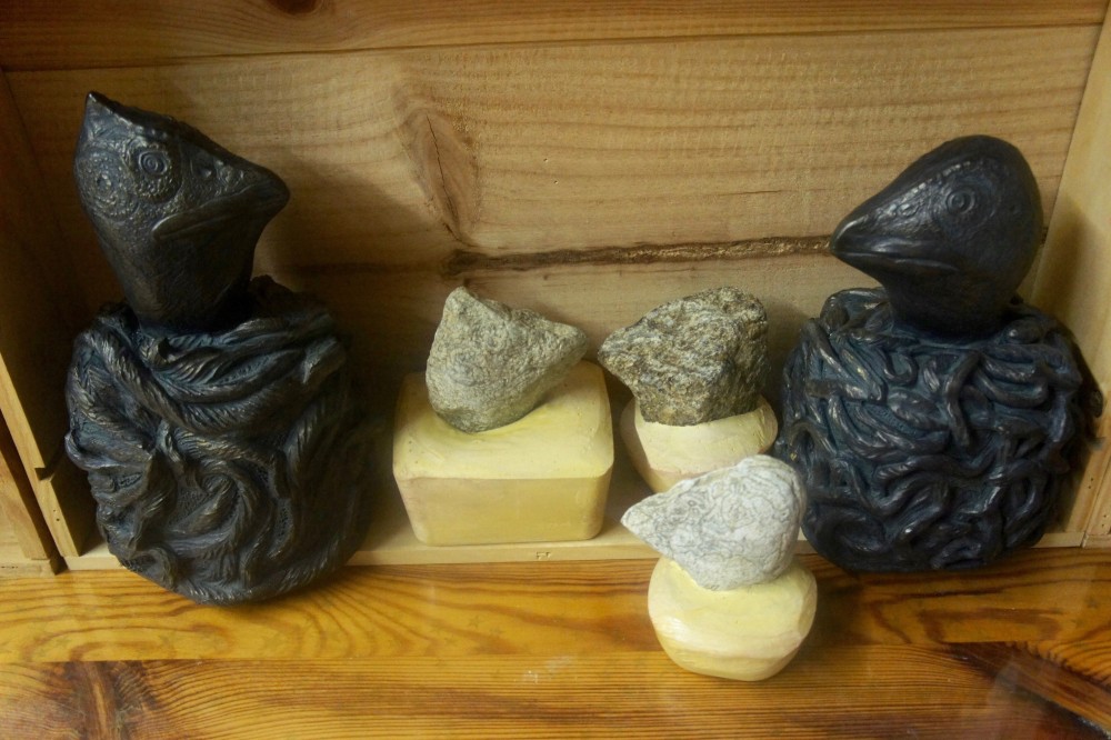 11 oiseau dimorphe s8.jpg