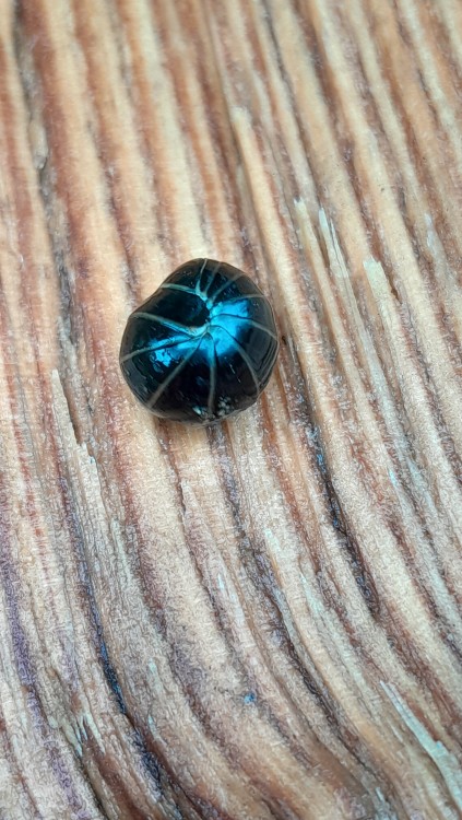 20240703_080427 (1).jpg