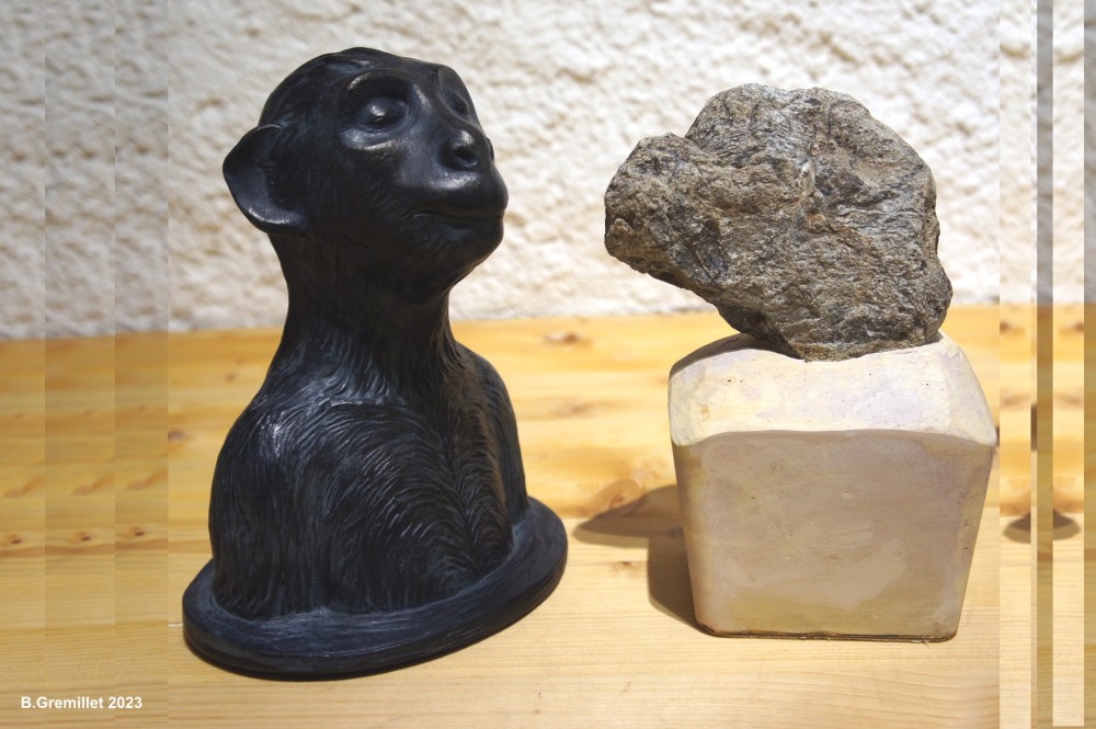 4 singe   DSC08837.jpg