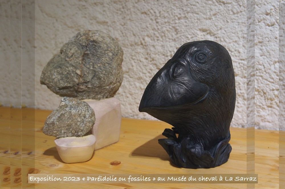 9 Bec en sabot primitif.jpg