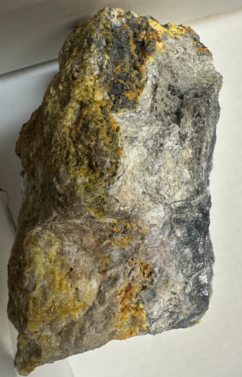 Capture d’écran 2024-07-26 à 23.26.18.png