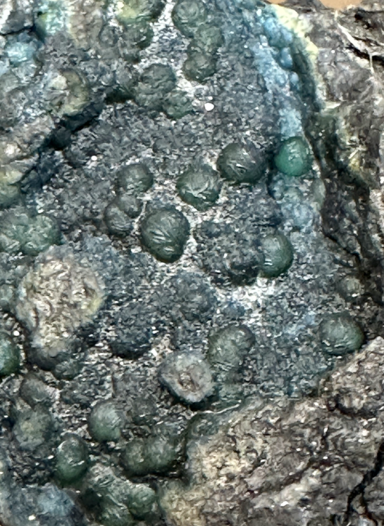 Capture d’écran 2024-08-01 à 00.44.04.png