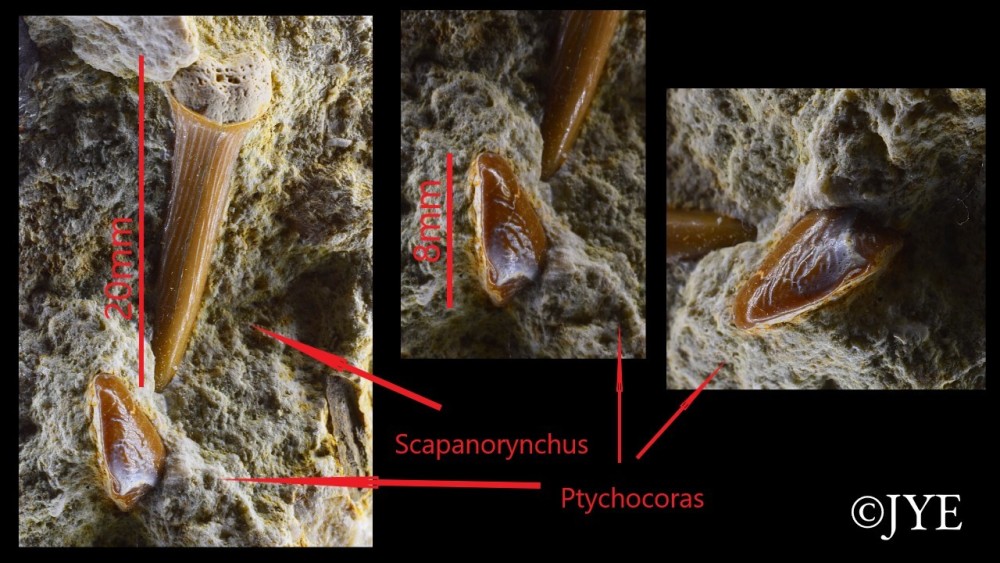 Nouveau projet-60.jpg