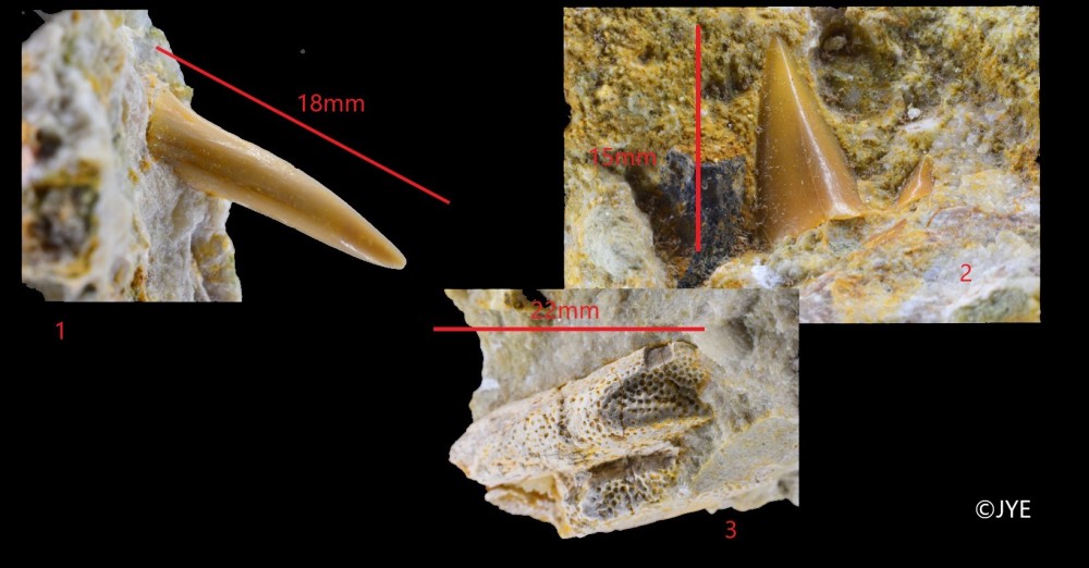 Nouveau projet-61.jpg