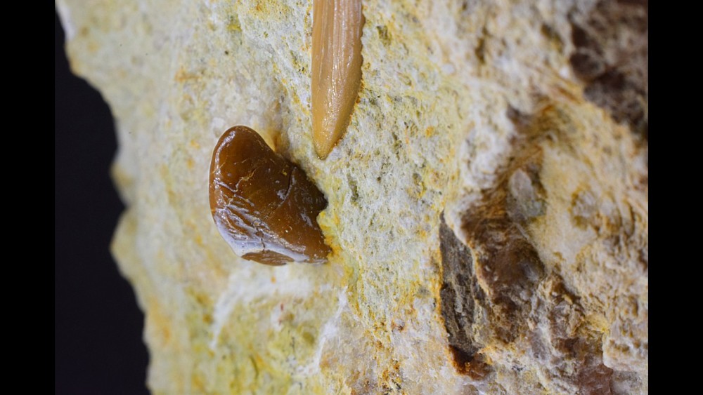 Nouveau projet-65.jpg