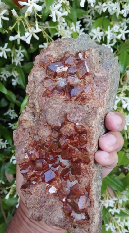 Screenshot 2024-07-23 at 08.30.06.png