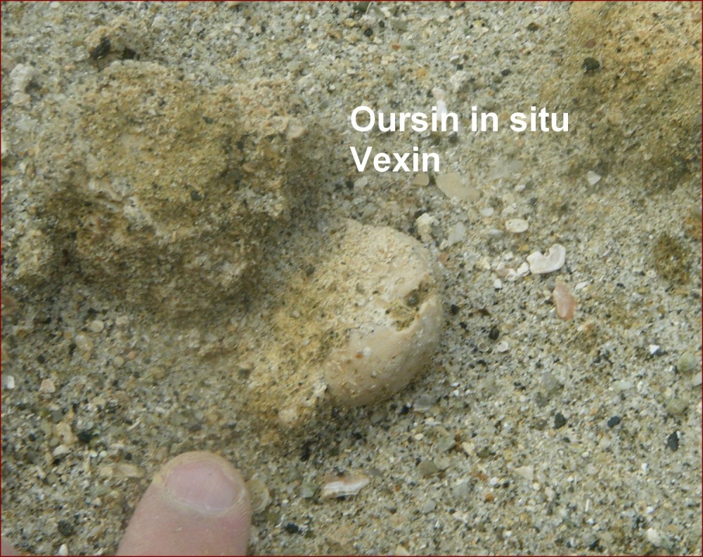 oursin_vexin1.jpg