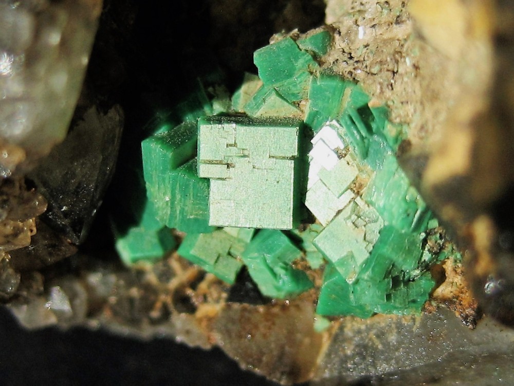 torbernite sur Quartz enfumé 1 (2).JPG