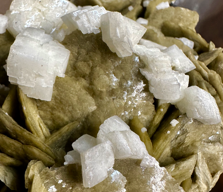 Capture d’écran 2024-08-07 à 23.33.11.png