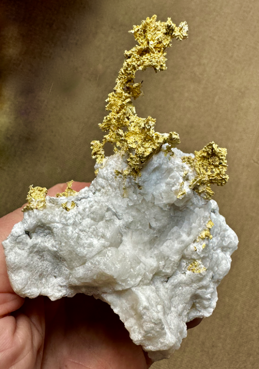 Capture d’écran 2024-08-12 à 12.39.29.png