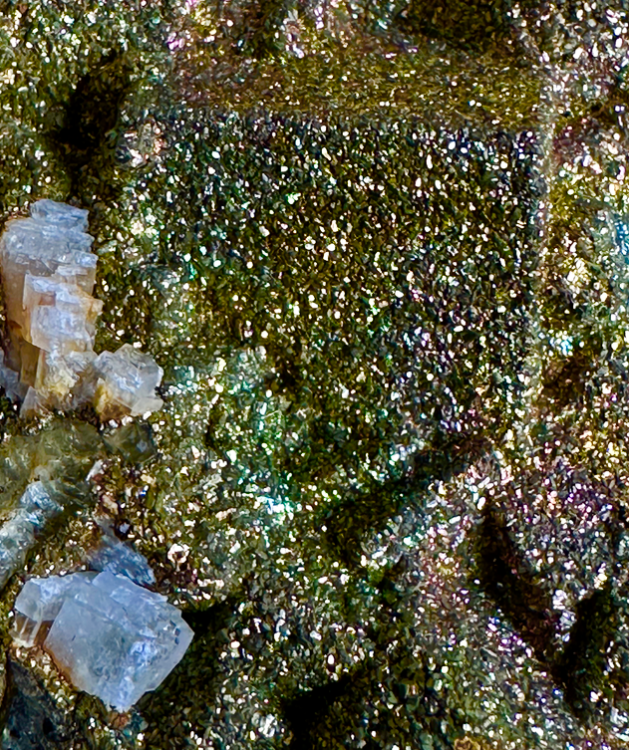 Capture d’écran 2024-08-12 à 13.05.19.png