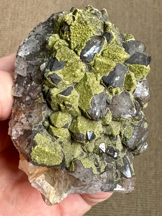 Capture d’écran 2024-08-12 à 13.07.27.png