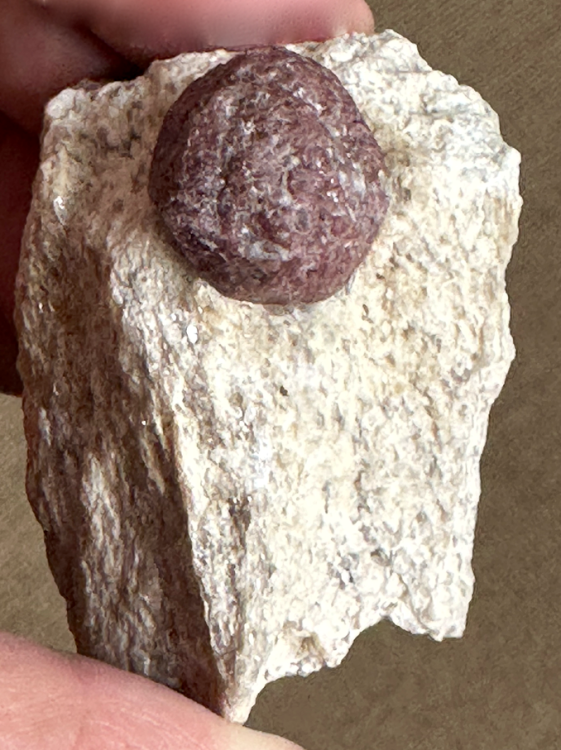 Capture d’écran 2024-08-14 à 10.54.13.png