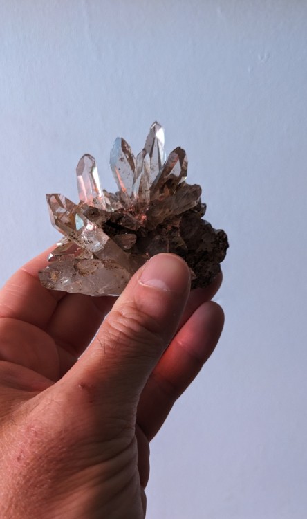 quartz_2.thumb.jpg.a0aa84d7e895ff5c26cd3e2d446ad65e.jpg