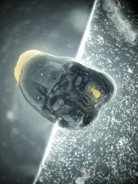 2024-09-11 13-09-15 (C).jpg