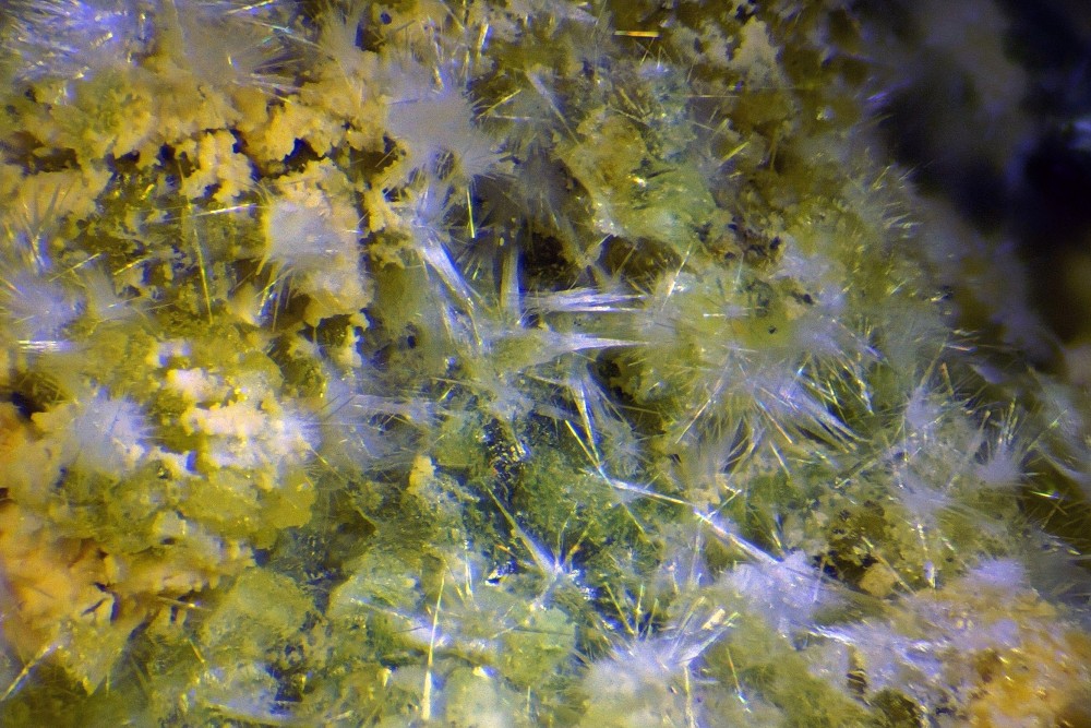 2024-09-29 10-47-37 (C,Smoothing3)_modifié.jpg