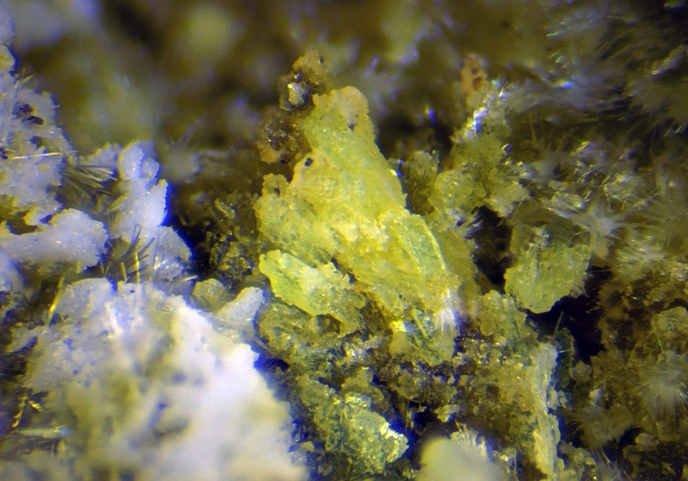 2024-09-29 10-48-38 (C,Smoothing3)_modifié.jpg