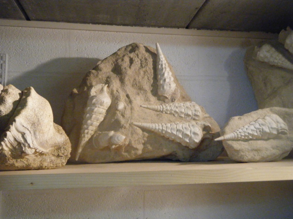 22_decembre_2019 (39).JPG