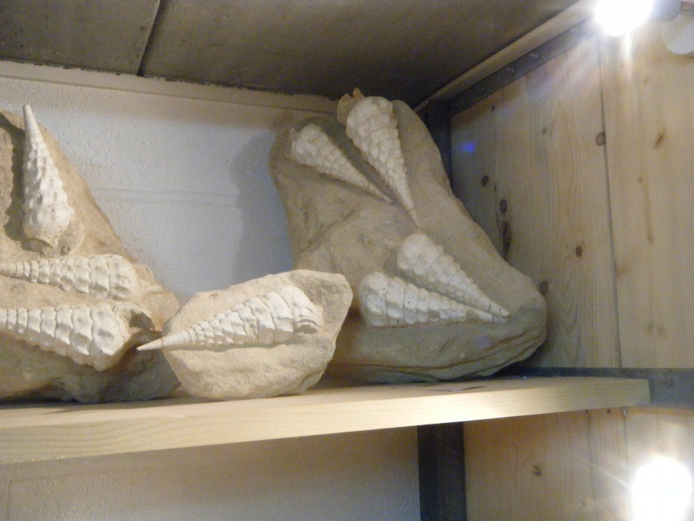 22_decembre_2019 (40).JPG