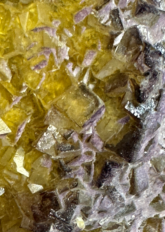 Capture d’écran 2024-09-05 à 01.07.30.png