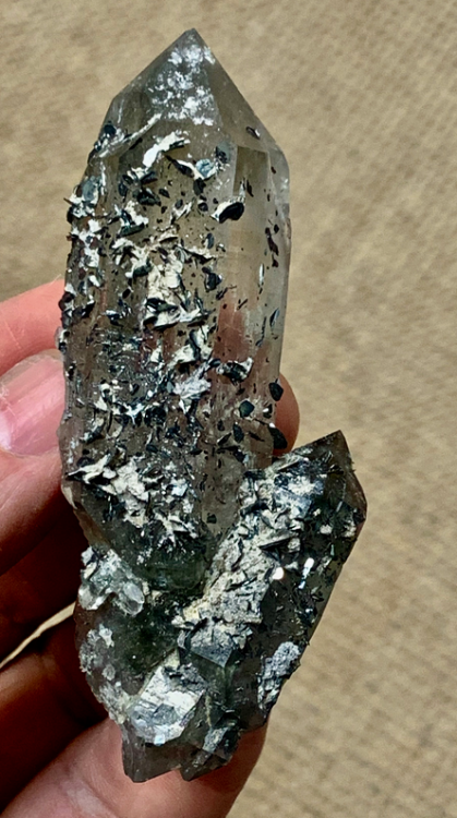 Capture d’écran 2024-09-22 à 23.16.34.png