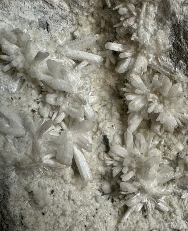 Capture d’écran 2024-09-22 à 23.35.58.png