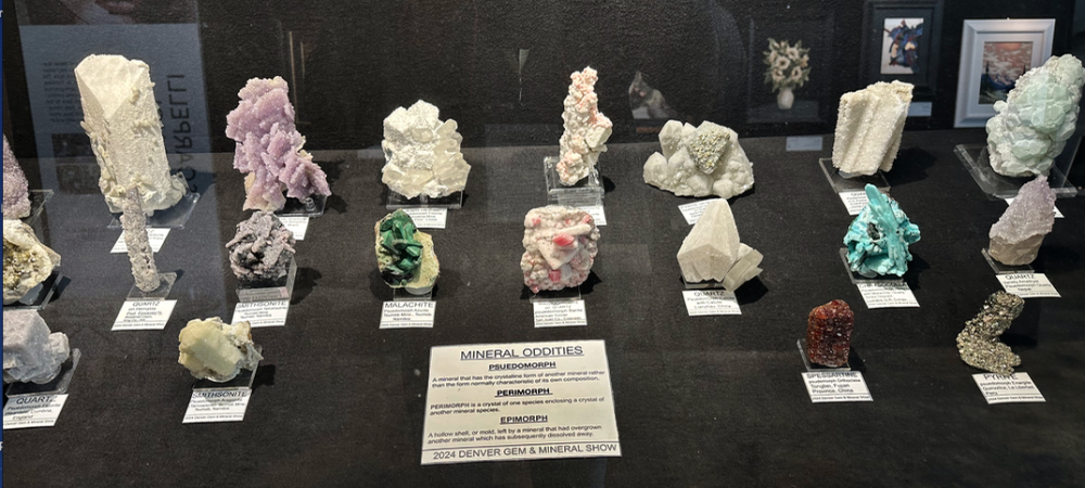 Capture d’écran 2024-09-23 à 12.41.36.png