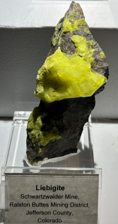 Capture d’écran 2024-09-23 à 23.11.14.png