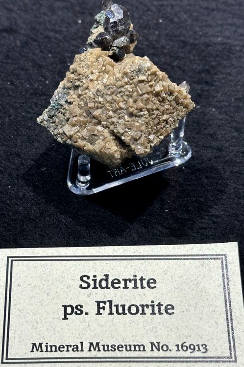 Capture d’écran 2024-09-23 à 23.12.22.png