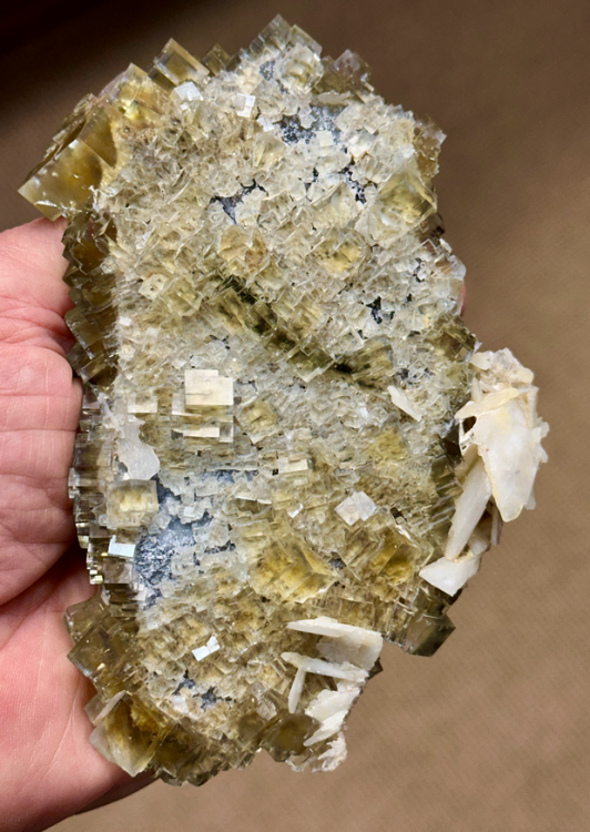 Capture d’écran 2024-09-24 à 00.50.01.png