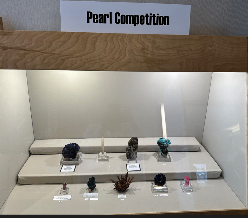 Capture d’écran 2024-09-24 à 08.53.38.png