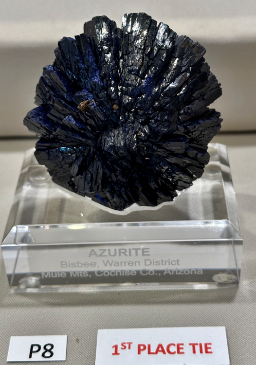 Capture d’écran 2024-09-24 à 08.53.50.png