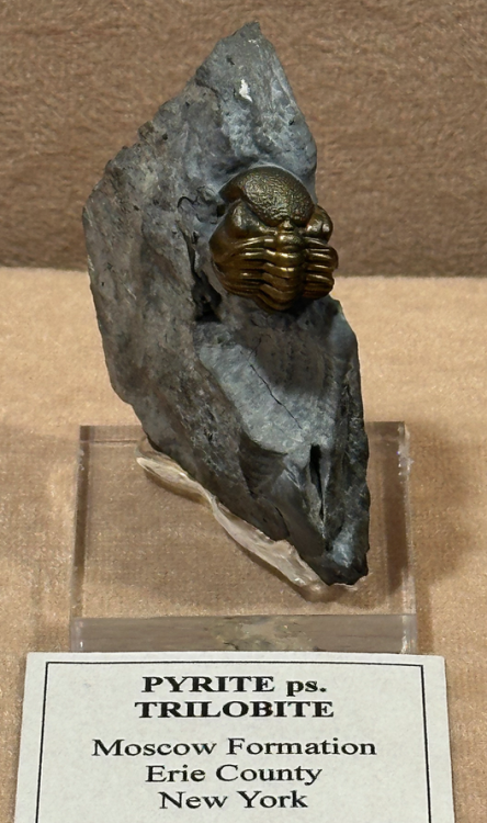 Capture d’écran 2024-09-24 à 08.55.46.png