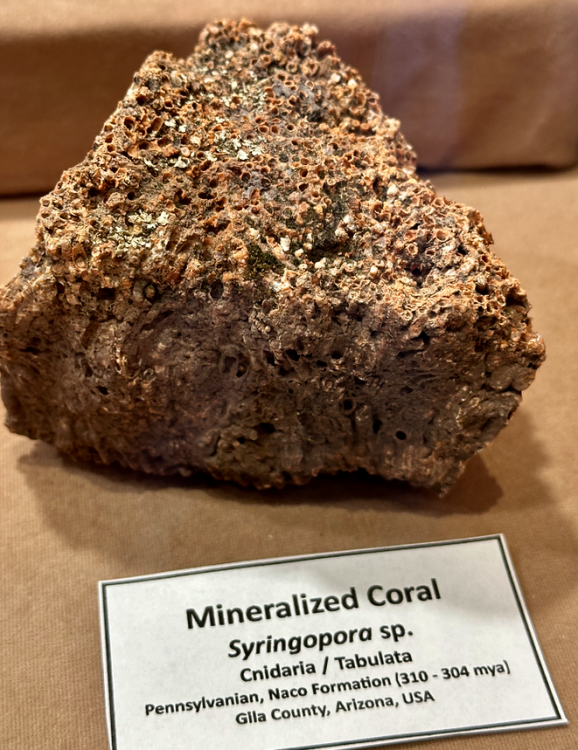 Capture d’écran 2024-09-24 à 08.56.20.png