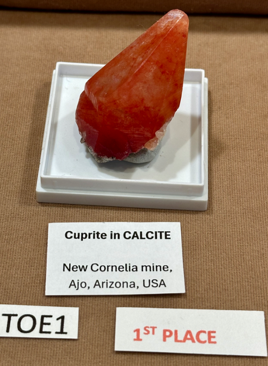 Capture d’écran 2024-09-24 à 08.56.34.png