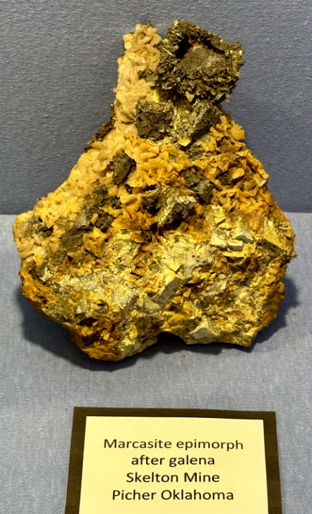 Capture d’écran 2024-09-24 à 08.56.57.png