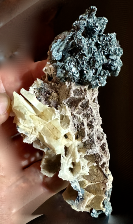 Capture d’écran 2024-09-27 à 23.37.02.png