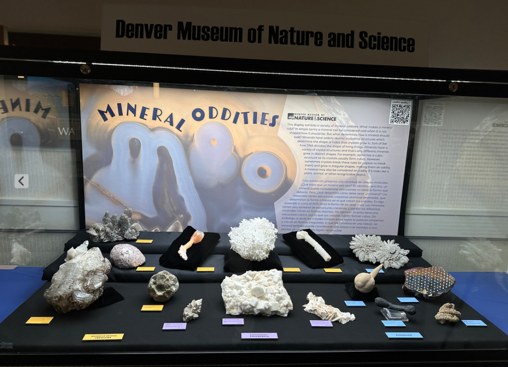 Capture d’écran 2024-09-28 à 14.52.48.png