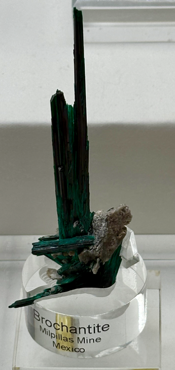 Capture d’écran 2024-09-30 à 09.37.35.png