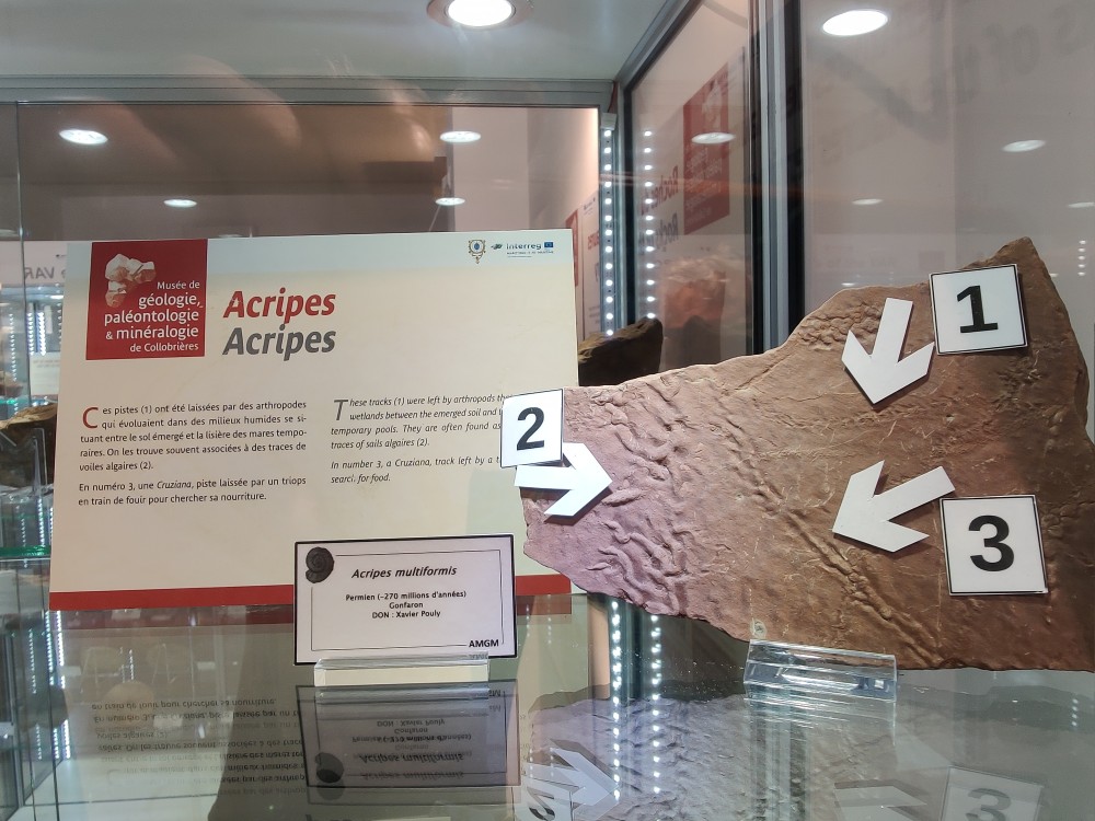 IMG_20240912_150822 (1).jpg