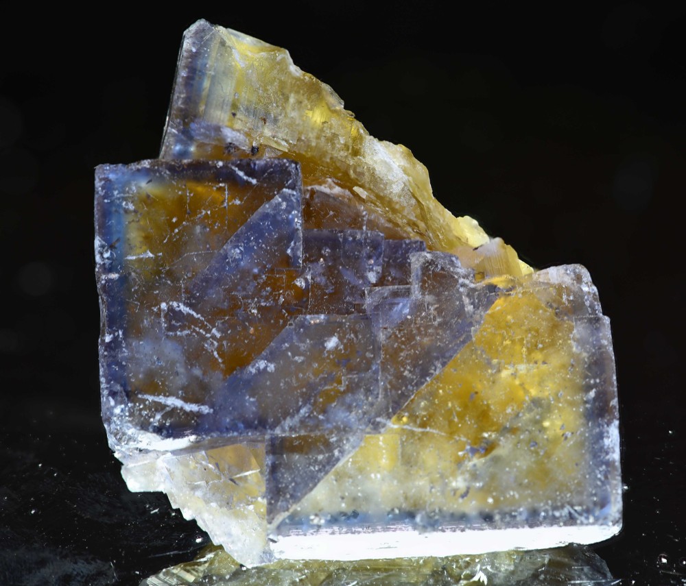 Valzergues2024 3 s7.jpg