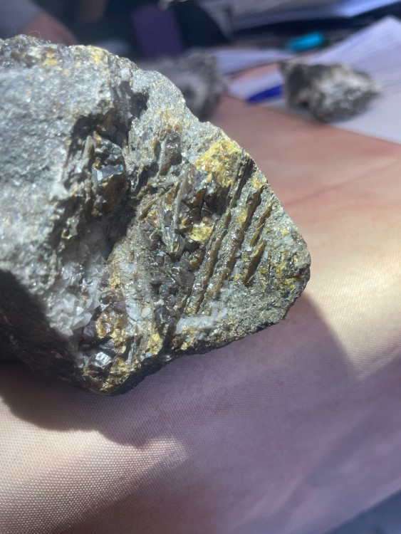 WhatsApp Image 2024-09-15 à 12.21.10_74e2123b.jpg