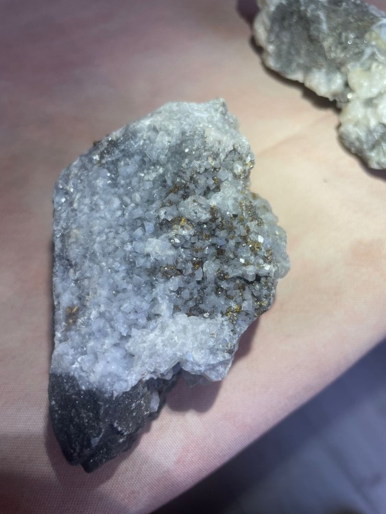 WhatsApp Image 2024-09-15 à 12.21.17_8256be15.jpg