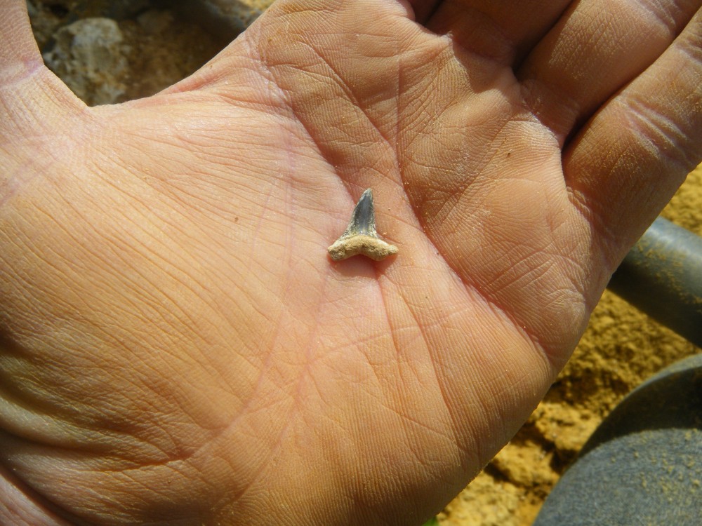 chambray_eure_22_05_2021 (19).JPG