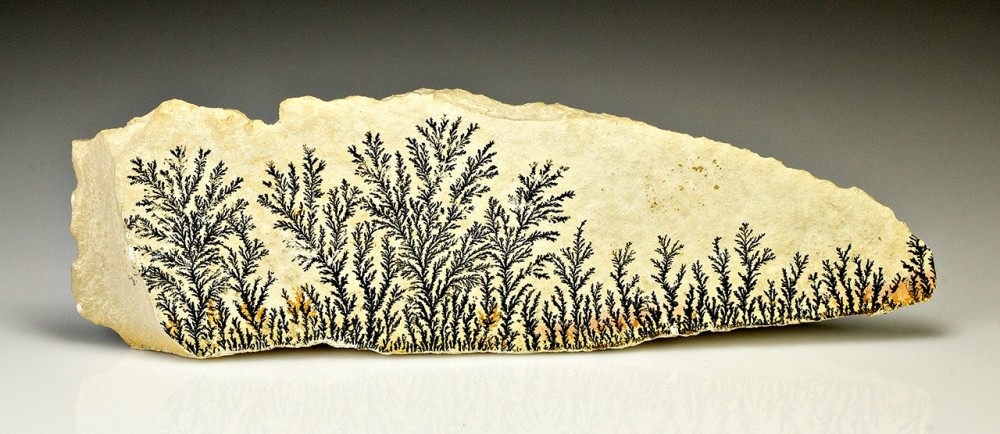 dendrite.jpg