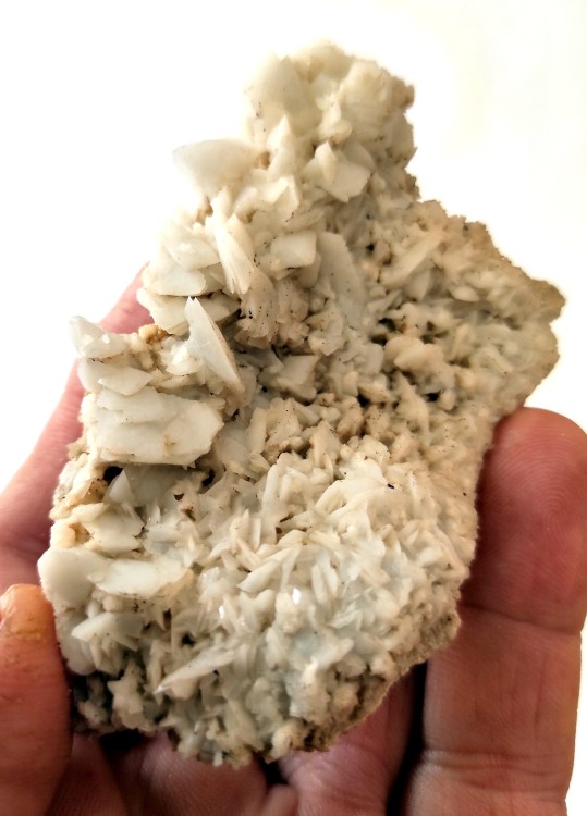 yeso neo formacion 1.jpg