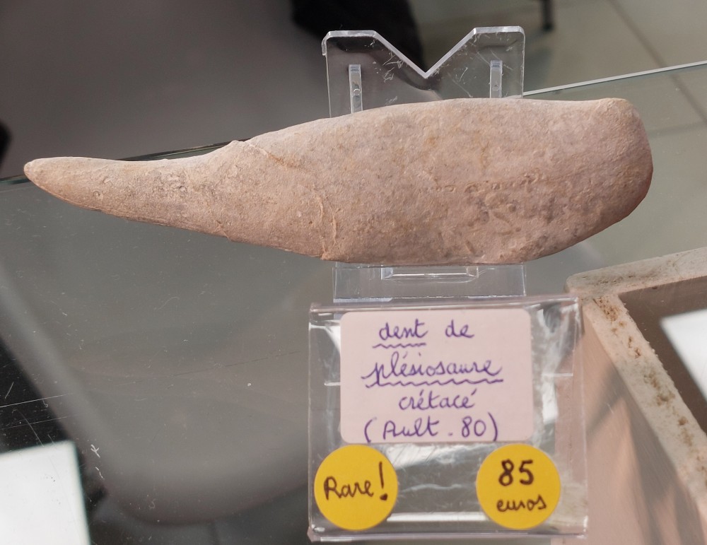 20241027_132250 (002).jpg